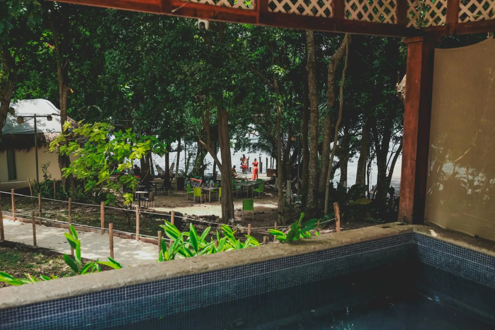 Piscina rodeada de selva con vista hacia la laguna