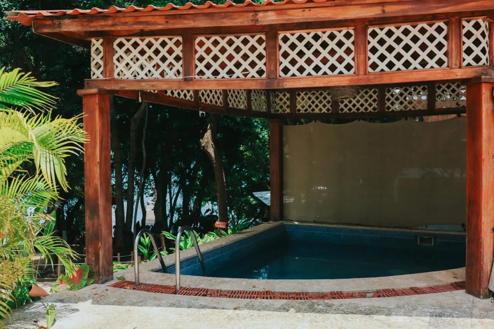 Piscina entre los árboles de Casa Lua